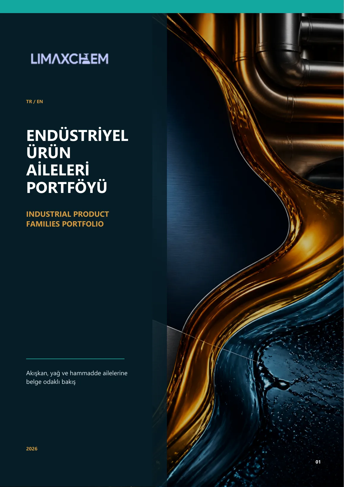LimaxChem Industrial Product Families Portfolio 2026 cover